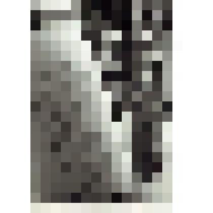 Фото: Жухевич А.А. (у очередного проекта)