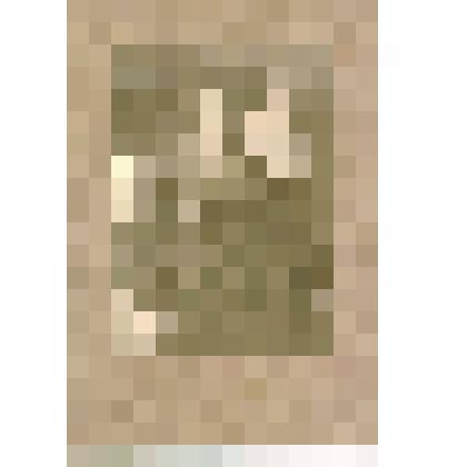 Фотография. Оршавский - комиссар Красной Армии