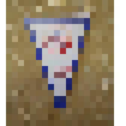 Вымпел "IV сельские игры Воронежской области"