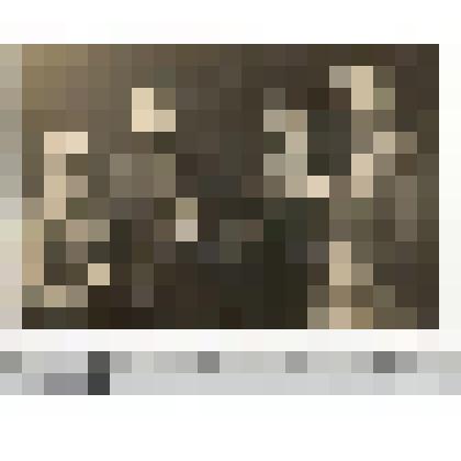 Фото групповое. Снимок сделан после вручения билета ударника