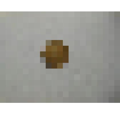 монета достоинством "5 копеек"