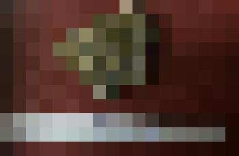 Коллекция минералов (Хромит)