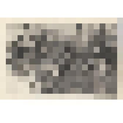 Фотография. Гребенщикова Анна Васильевна в группе учителей