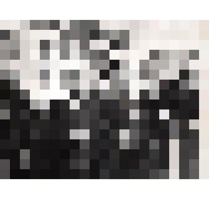 Фото: «Митинг по открытию бюста Л. В. Кокышева»  – выступает поэт Паслей Самык