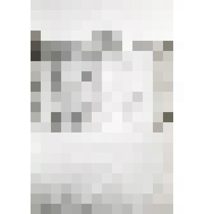 Фотонегатив. Из комплекта: Архив Н.И. Артеменко-Толстой