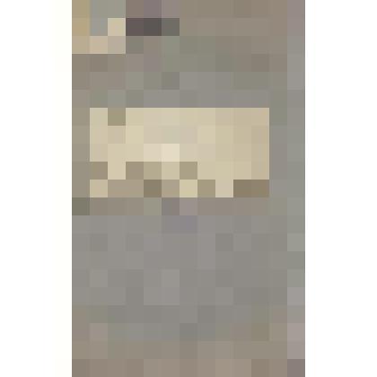 Документ. Программа почтово-телеграфного класса при Никольском женском училище