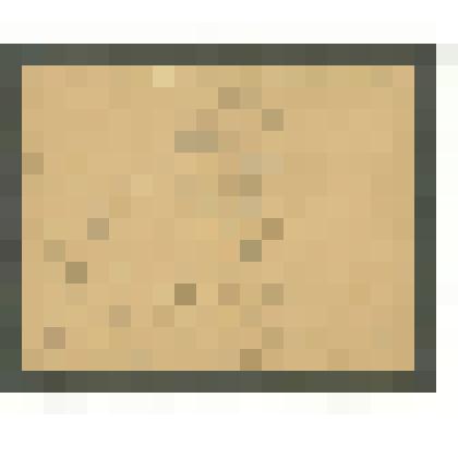 Портрет В.И.Ленина