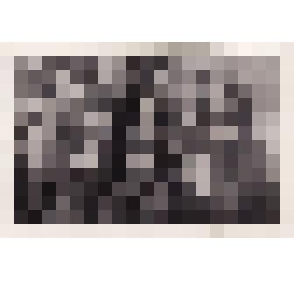 Фотография: работники районной библиотеки