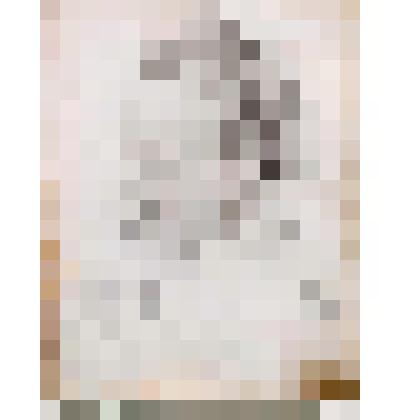 Портрет И.Н. Розанова