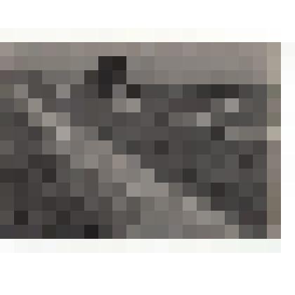 Фото/чб. Энгельсская опытно-мелиоративная станция (ВОЛЖНИИГИМ). Комбайн-косилка в пшеничном поле. 1960-1970-е