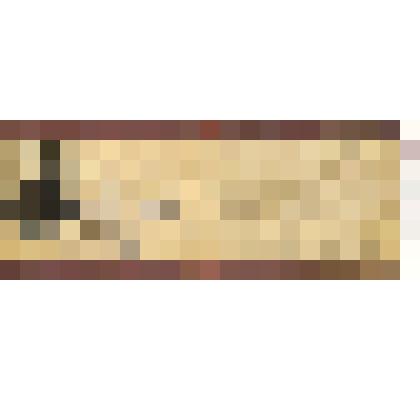 Удостоверение №50 бывшего красного партизана Бирюкова Дмитрия Ивановича