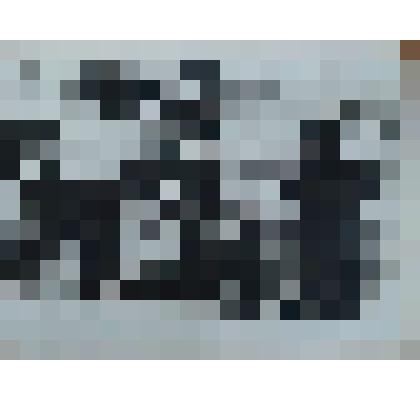 Фотография черно-белая с изображением мужчины верхом на коне с товарищем