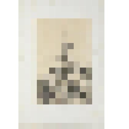 Литография. "Санкт-Петербург. Пожарная каланча и полицейский участок на Большой Морской."