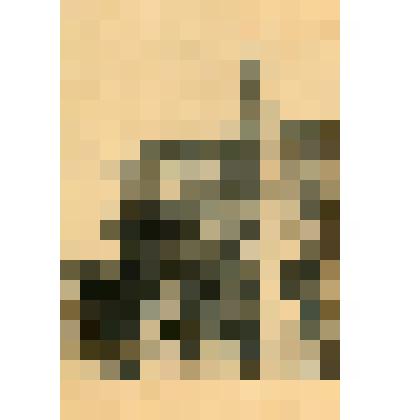 Лист. Часовня Св. Николая. Из альбома "Виды Севастополя"