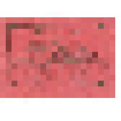 Документ. Билет делегатский № 20 Калашникова М., делегатом на 12-ю Частинскую парт. конференцию ВКП (б)