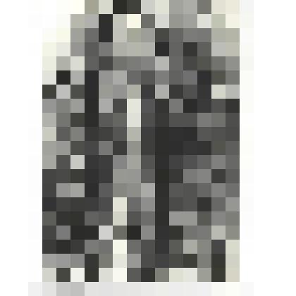 Фотографии. Фото ч/б. Неразорвавшийся немецкий снаряд. Такими снарядами, весом в одну тонну, немецкие фашисты обстреливали сражающийся Севастополь, июнь 1942 г