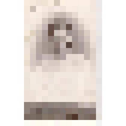 Фотография. Портрет ученицы Мензелинской женской гимназии Вали Булатниковой на фотографическом бланке