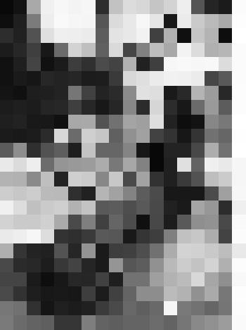 Фото. Кадр из фильма "Закованная фильмой". В мастерской Художника. Художник- В.В. Маяковский. Цыганка- А.В. Ребикова