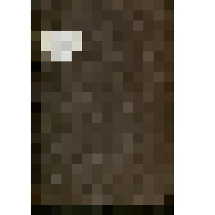 Книга "  История Петра Великого" часть I