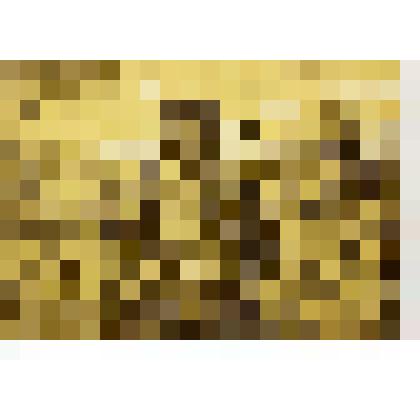 Карточка почтовая "Защитим город Ленина"