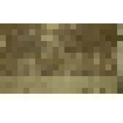 Фото. Участники Гражданской войны