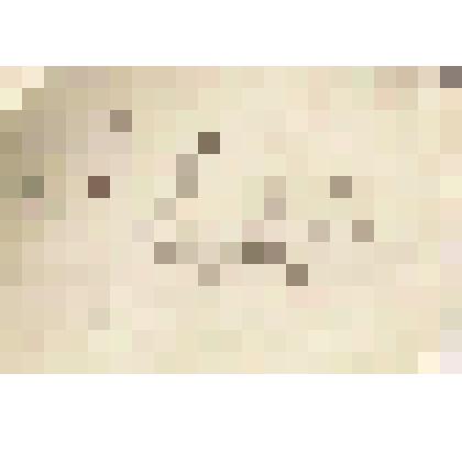 Записи о принятых В.О.Алиным товарах от Антона Петровича Ходорова, 16.07.1903 г