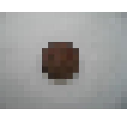 Монета. 5 копеек