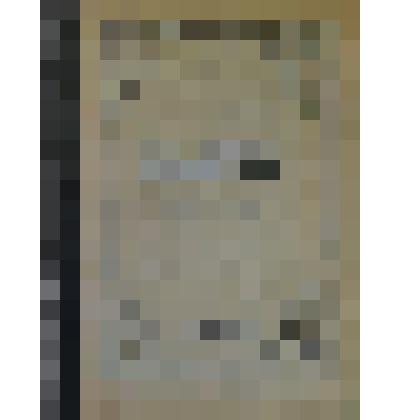 Книга "Мещанин во дворянстве". Немгосиздат