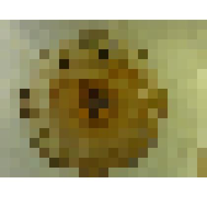 Ваза-конфетница