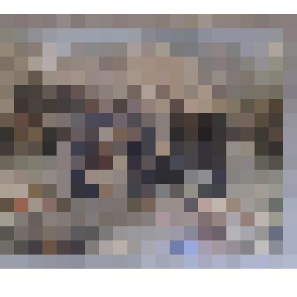 Фотография из серии «Посещение Брянска Сусловым Михаилом Андреевичем, секретарем ЦК КПСС, 17 сентября 1979 г.»