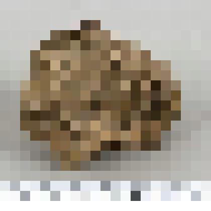 Заготовка рубящего орудия