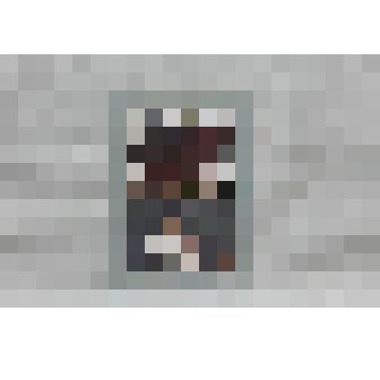 Иллюстрация № 20 "Буржуазно- демократическая революция в городе Грязовце". На паспорту, в файле. Иллюстрация