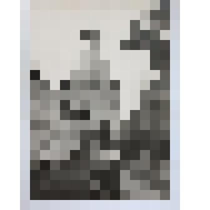 Фото -позитив