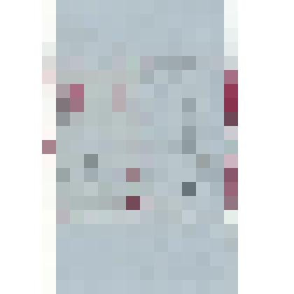 Письмо. Симидзу К. Адресат: Кассиль Лев Абрамович. Япония, г. Фукуи - г. Москва. Беловой автограф