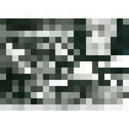 Фотография. Изготовление изделий из кости  мамонта