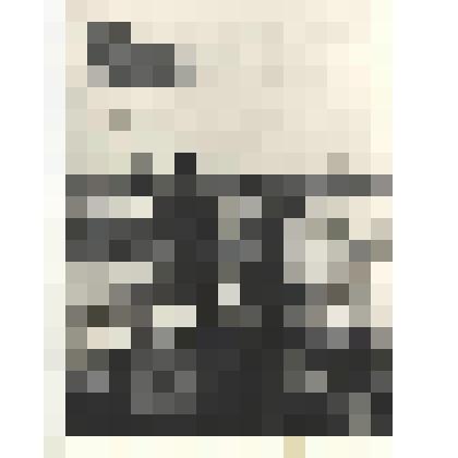 Фотографии. Фото ч/б. Советское знамя на взорванных дотах линии Маннергейма. 1940 г