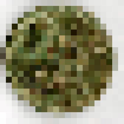 Монета. Российская империя