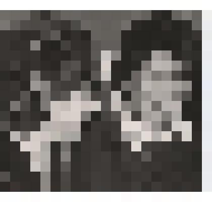 Фотография. Гребенщикова Анна Васильевна и Соломенко Екатерина Павловна