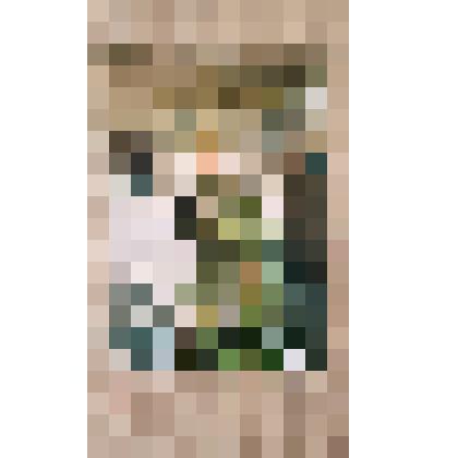 Фотография. Ахунова Зиля у куста розы