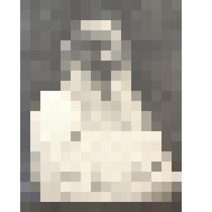 Л.Н.Толстой (по пояс, 3/4 вправо в белой блузе)