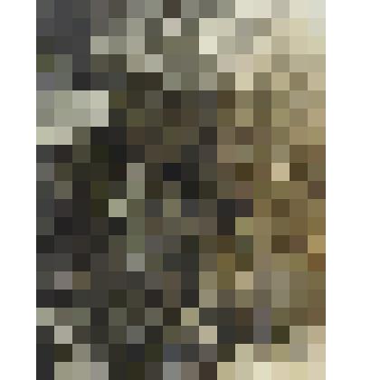 Фотография. Лекомцев Сергей Николаевич - участник ВОв