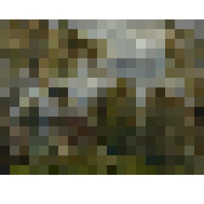 Дачка в лесу