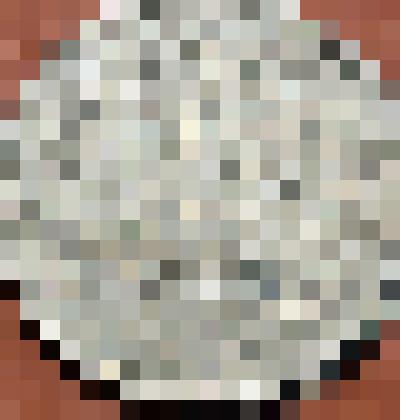 Монеты СССР  – 10 коп. 1978 г