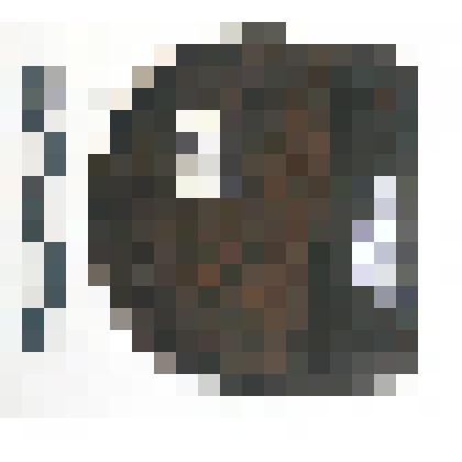 Фрагмент наборного каблука. Флик. Коллекция из раскопок городища Мангазея 2009 г