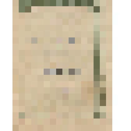 Нотное издание "Сосна"