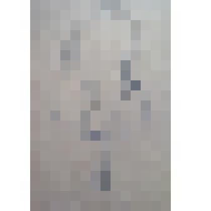 Из серии "Ню" (21)