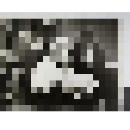 Аркадий и Константин Райкин