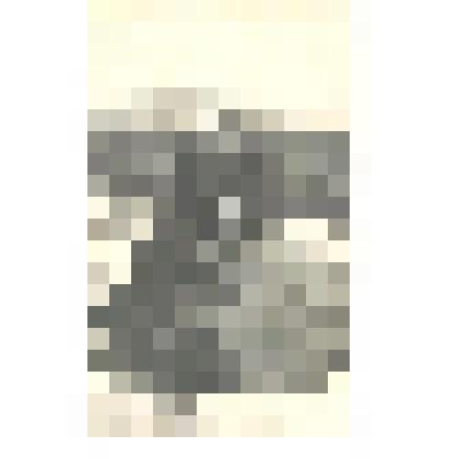 Фотография. На камне у озера