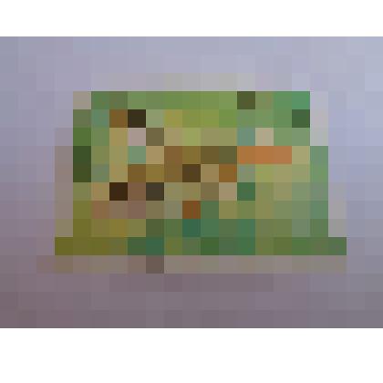 Марка "Ca Hong Tu Ky. Hyphessobrycon serpae."