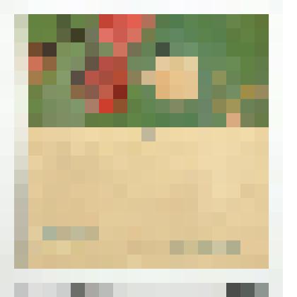 Грампластинка гибкая. "Вы слыхали, как поют дрозды"